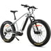 FitNord Rumble 1000 Elfatbike 2023, mintgrön (882 Wh batteri)