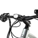 FitNord Rumble 1000 Elfatbike 2023, mintgrön (882 Wh batteri)
