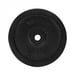 Top Sport Castyr Viktskiva 30 mm i gjutjärn 15 kg