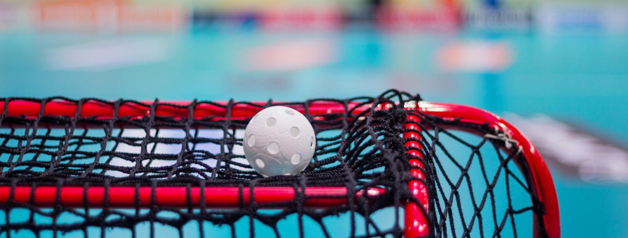 Tillbehör innebandy
