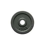 FitNord Viktskiva 30 mm, Gjutjärn 1,25 kg