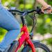 FitNord Ava 200 Elcykel 2023, röd (540 Wh batteri)