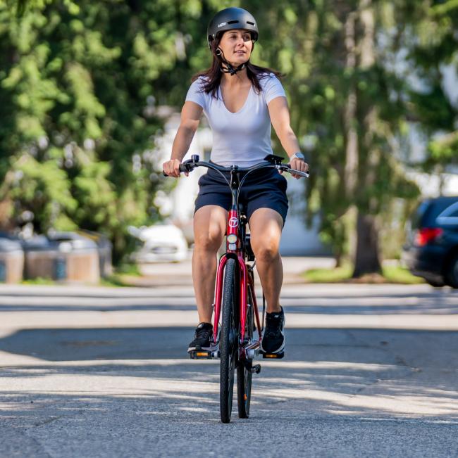 FitNord Classic 200 Elcykel 2023, röd (540 Wh batteri)