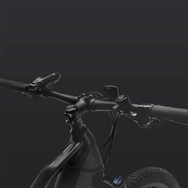 FitNord Ranger 300 Elmountainbike 2024, svart (720 Wh batteri)