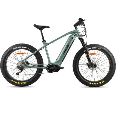 FitNord Rumble 1000 Elfatbike 2023, mintgrön (882 Wh batteri)