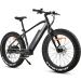 FitNord Rumble 300 Elfatbike 2023, svart (720 Wh batteri)