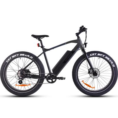 Fitnord Rumble 300 Elfatbike