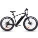 Fitnord Rumble 300 Elfatbike