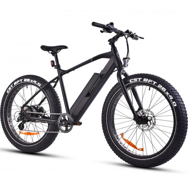 Fitnord Rumble 300 Elfatbike