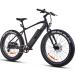 Fitnord Rumble 300 Elfatbike