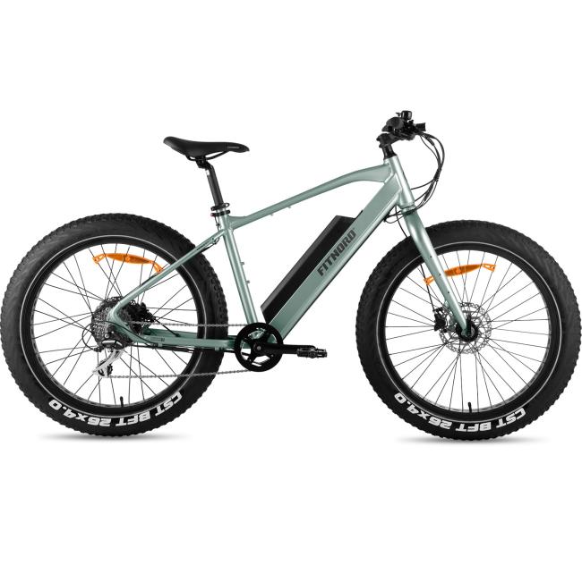 FitNord Rumble 300 Elfatbike 2023 mintgrön (720 Wh batteri)