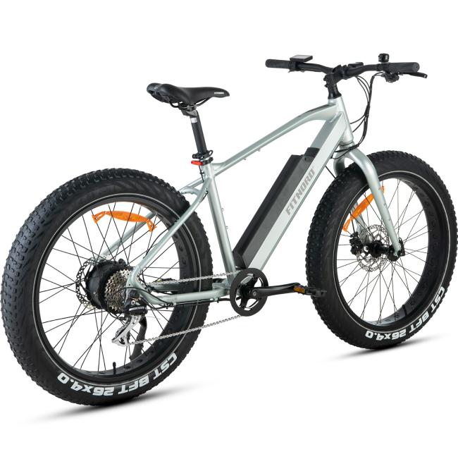 FitNord Rumble 300 Elfatbike 2023, mintgrön (720 Wh batteri)