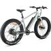 FitNord Rumble 300 Elfatbike 2023, mintgrön (720 Wh batteri)
