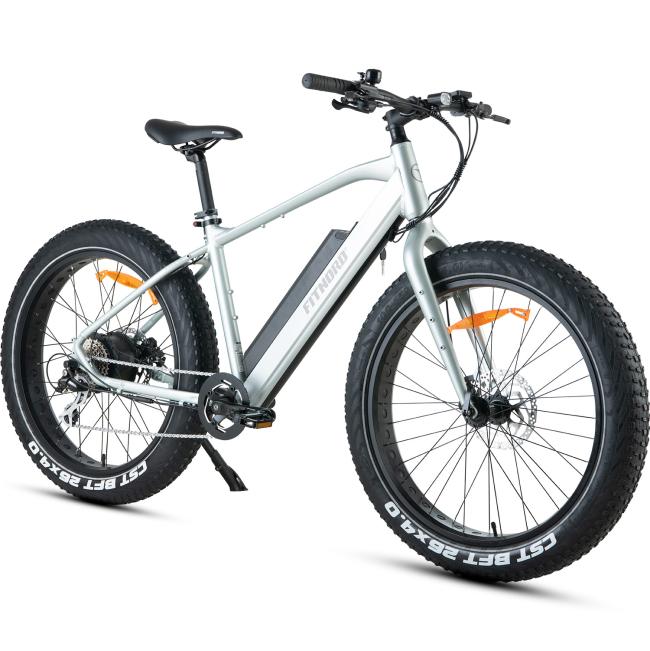FitNord Rumble 300 Elfatbike 2023, mintgrön (720 Wh batteri)