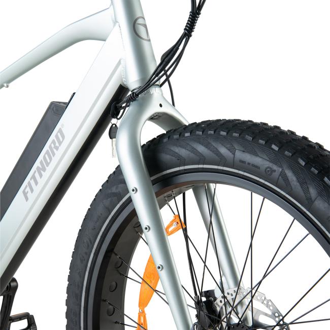 FitNord Rumble 300 Elfatbike 2023, mintgrön (720 Wh batteri)