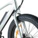 FitNord Rumble 300 Elfatbike 2023, mintgrön (720 Wh batteri)