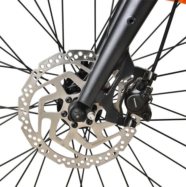 FitNord Rumble 500 Elfatbike 2023, svart (720 Wh batteri)