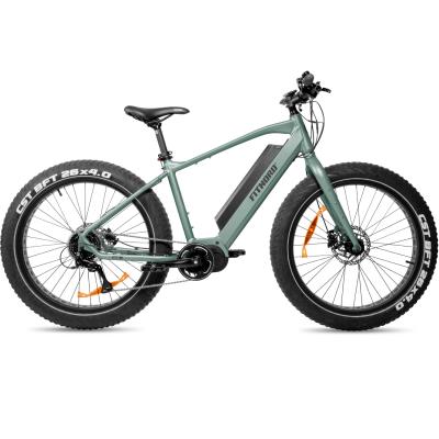 FitNord Rumble 500 Elfatbike 2023, mintgrön (720 Wh batteri)