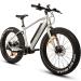 FitNord Rumble 500 Elfatbike 2023, mintgrön (720 Wh batteri)