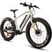 FitNord Rumble 500 Elfatbike, mintgrön (720 Wh batteri) + ETT ÅR EXTRA GARANTI