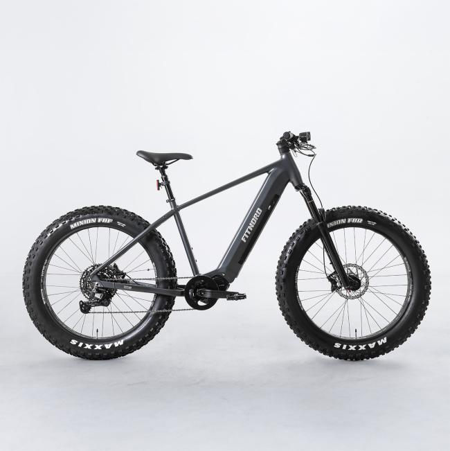 FitNord Rumble 800 Elfatbike, grafit