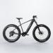 FitNord Rumble 800 Elfatbike, grafit