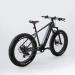 FitNord Rumble 800 Elfatbike, grafit