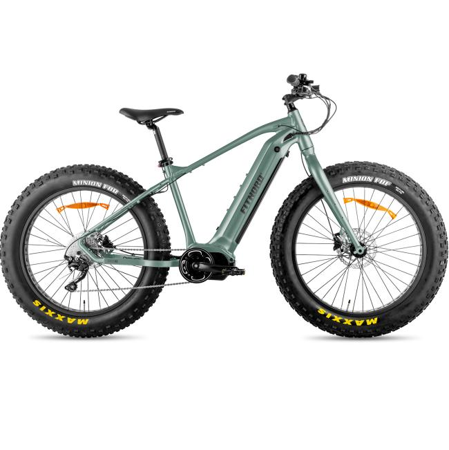 FitNord Rumble 900 Elfatbike 2023 mintgrön (882 Wh batteri)