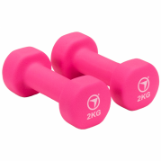 FitNord Vinylhantlar 2 kg (par)