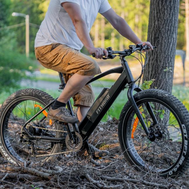 FitNord Rumble 300 Elfatbike 2023, svart (720 Wh batteri)